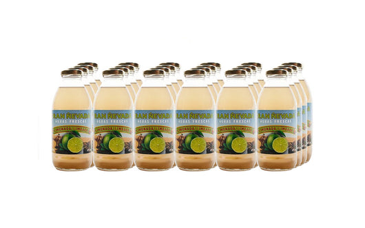 Aguas Frescas - Limonada from Gran Nevada