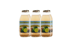 Aguas Frescas - Limonada from Gran Nevada
